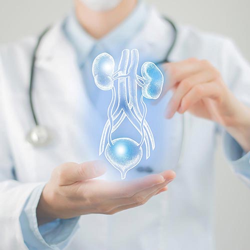 ncontin&ecirc;ncia Urin&aacute;ria - Ginecologista em Vit&oacute;ria - Esp&iacute;rito Santo, colposcopia e laser ginecol&oacute;gico.